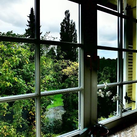 Weingut Und Hotel Haus Am Drachenloch バート・ホンネフ・アム・ライン エクステリア 写真