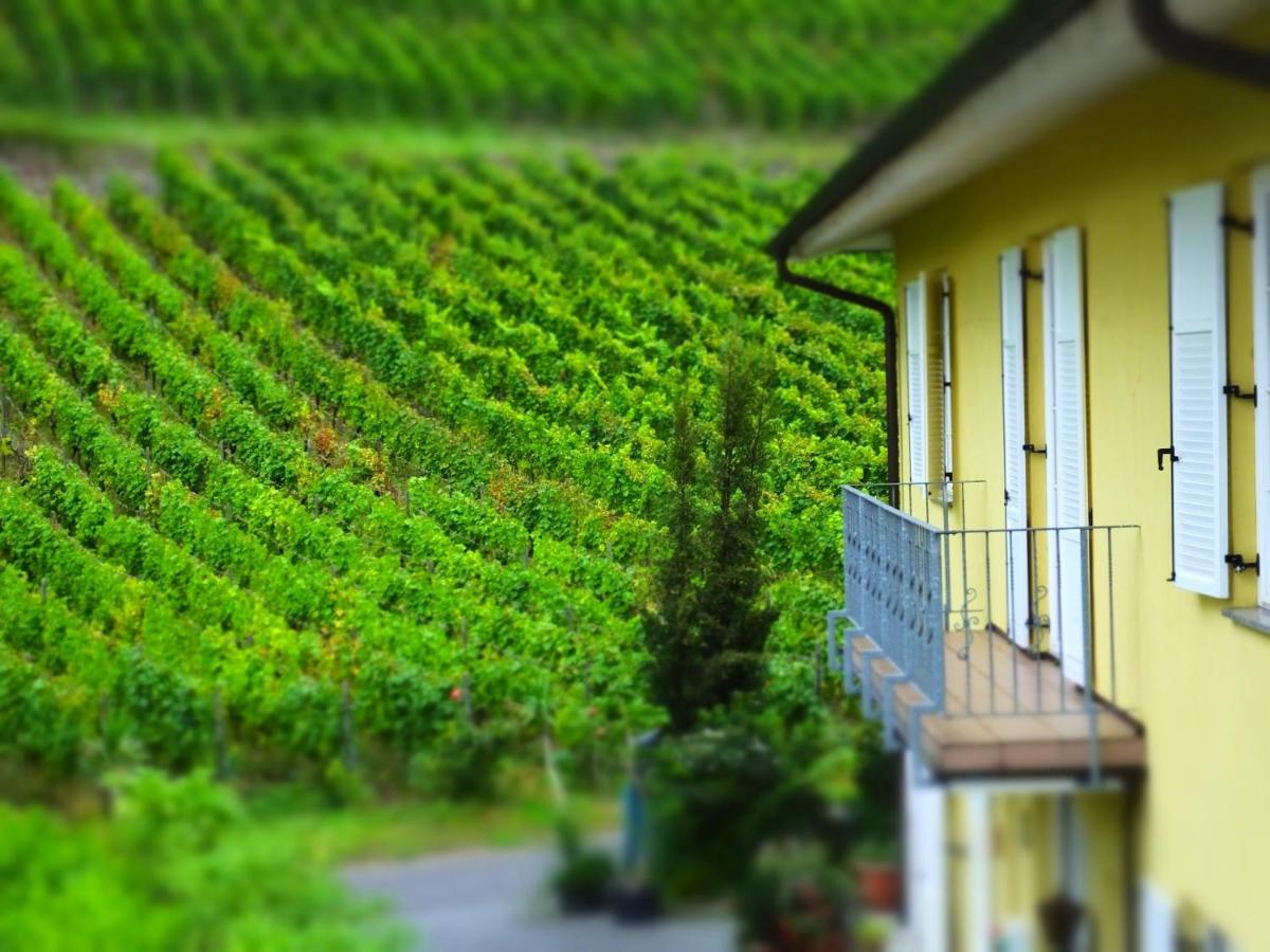 Weingut Und Hotel Haus Am Drachenloch バート・ホンネフ・アム・ライン エクステリア 写真