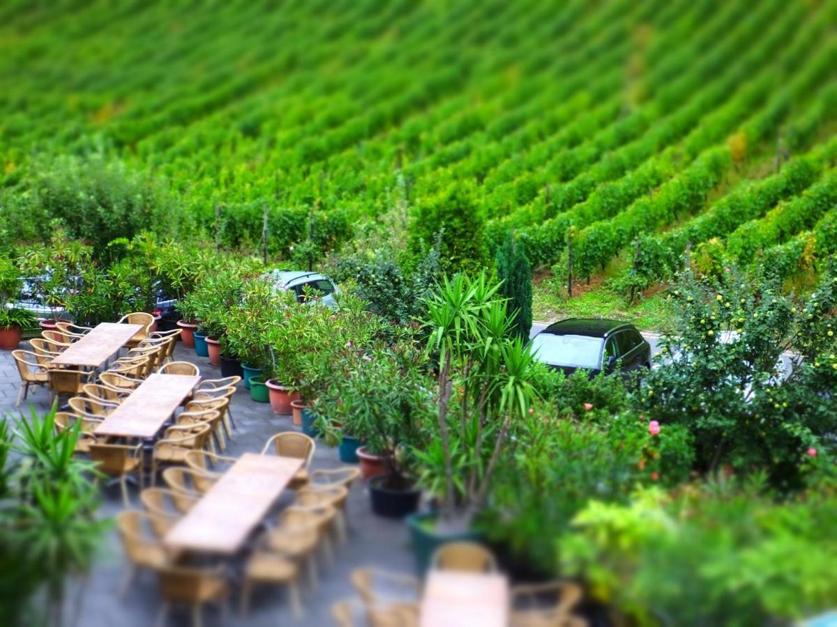 Weingut Und Hotel Haus Am Drachenloch バート・ホンネフ・アム・ライン 部屋 写真