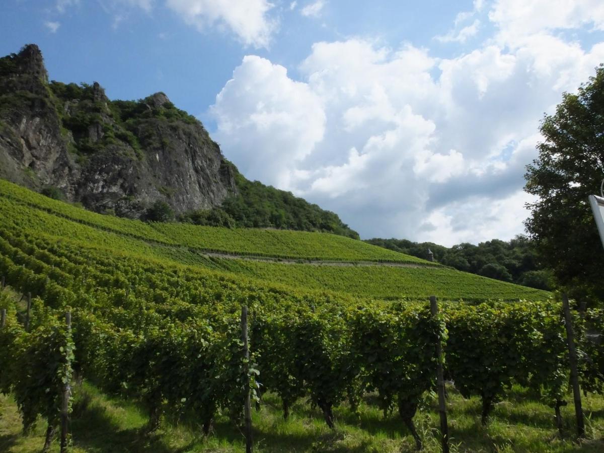Weingut Und Hotel Haus Am Drachenloch バート・ホンネフ・アム・ライン エクステリア 写真