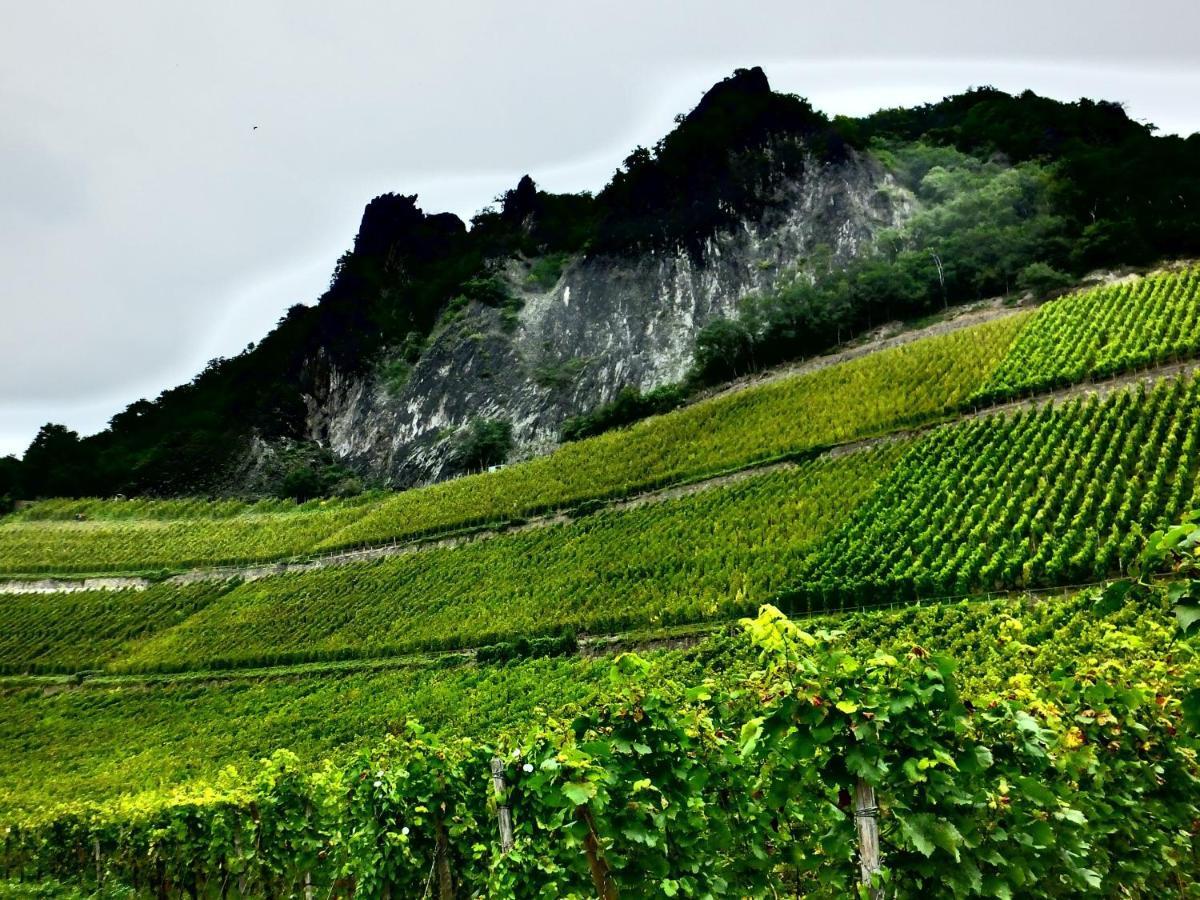 Weingut Und Hotel Haus Am Drachenloch バート・ホンネフ・アム・ライン エクステリア 写真